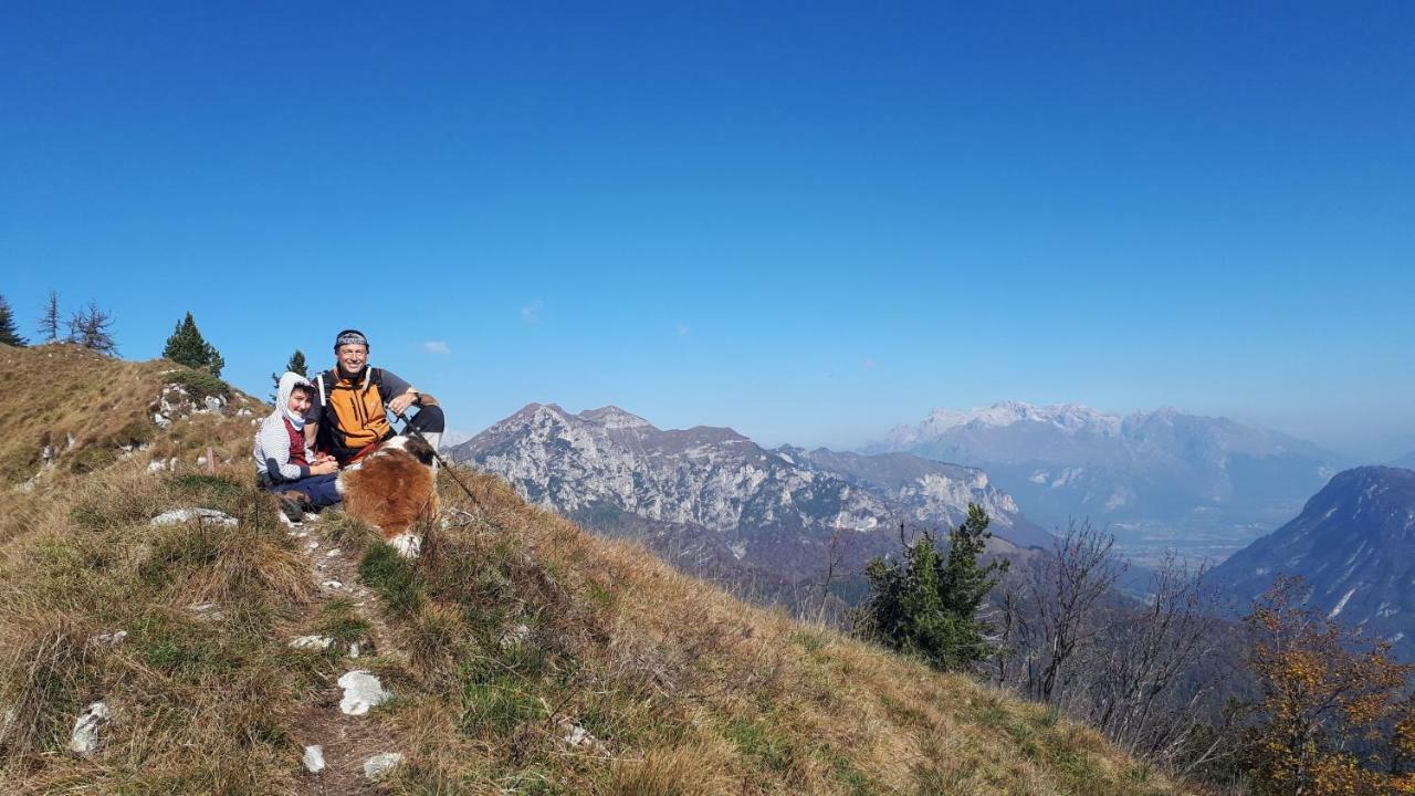 Ledro 