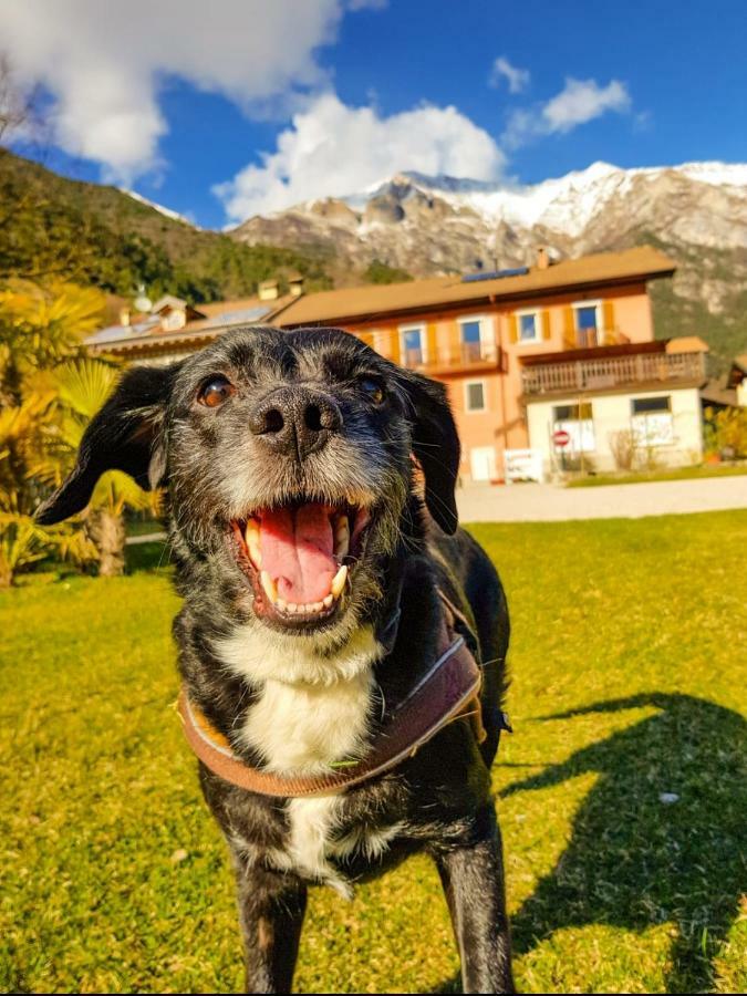 Ledro 